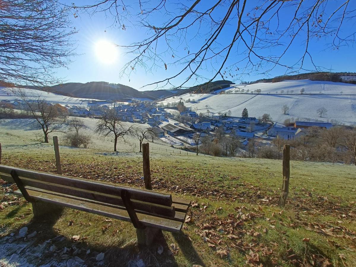 Freeride - 7min To Greenhill, Ps4, Bbq, Terrace, Ssc Schmallenberg